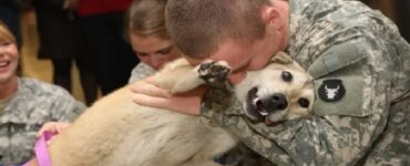 Il cane piange quando vede il suo padrone