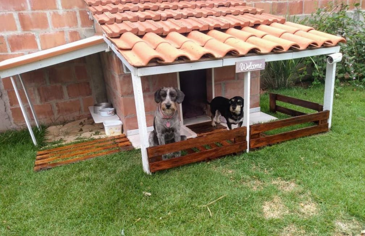 La dimora dei cani: la costruzione dei proprietari