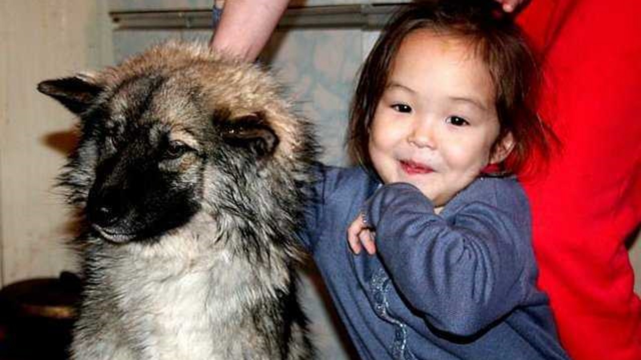 Bambina protetta dal suo cane