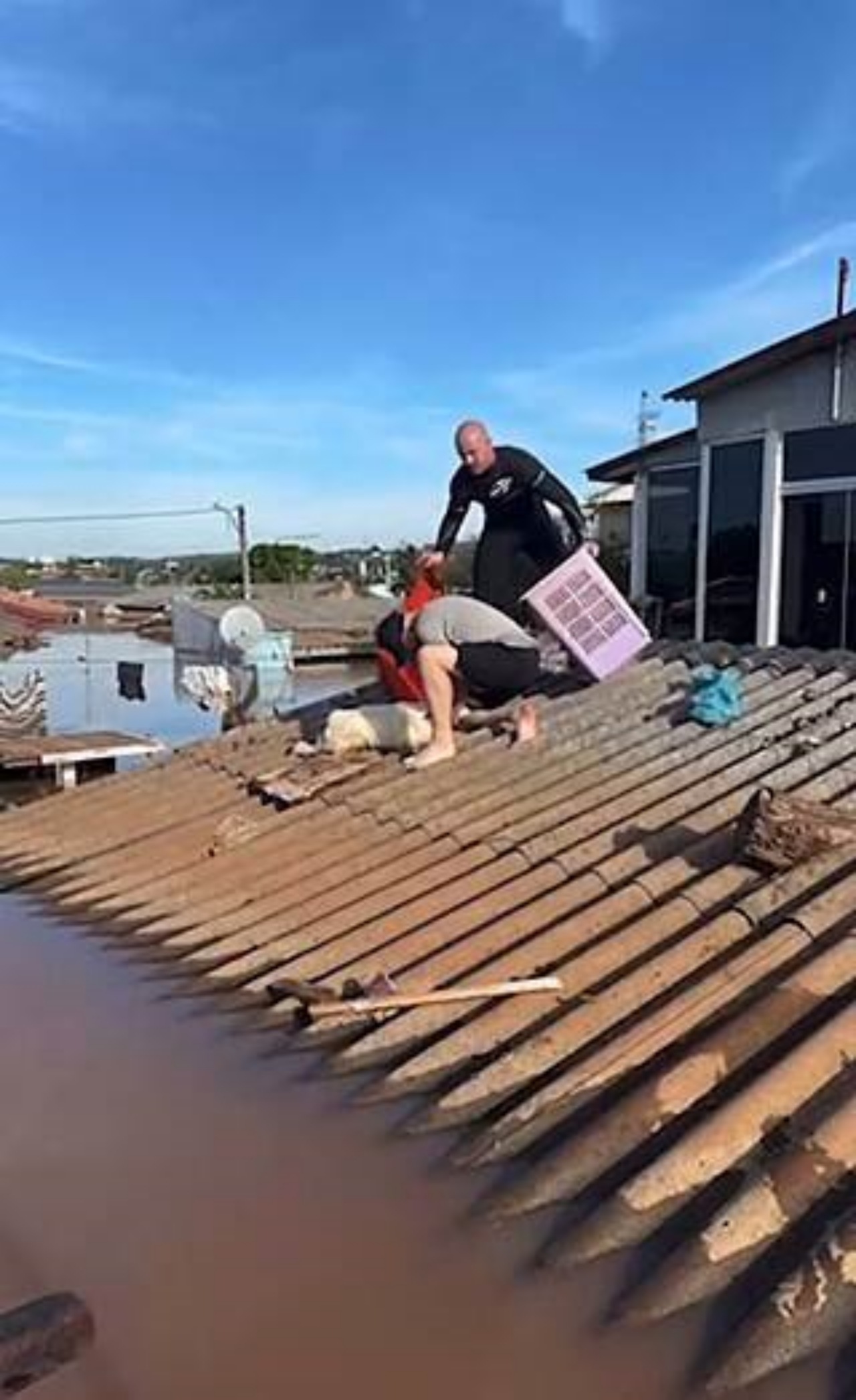 Cane ringrazia il soccorritore