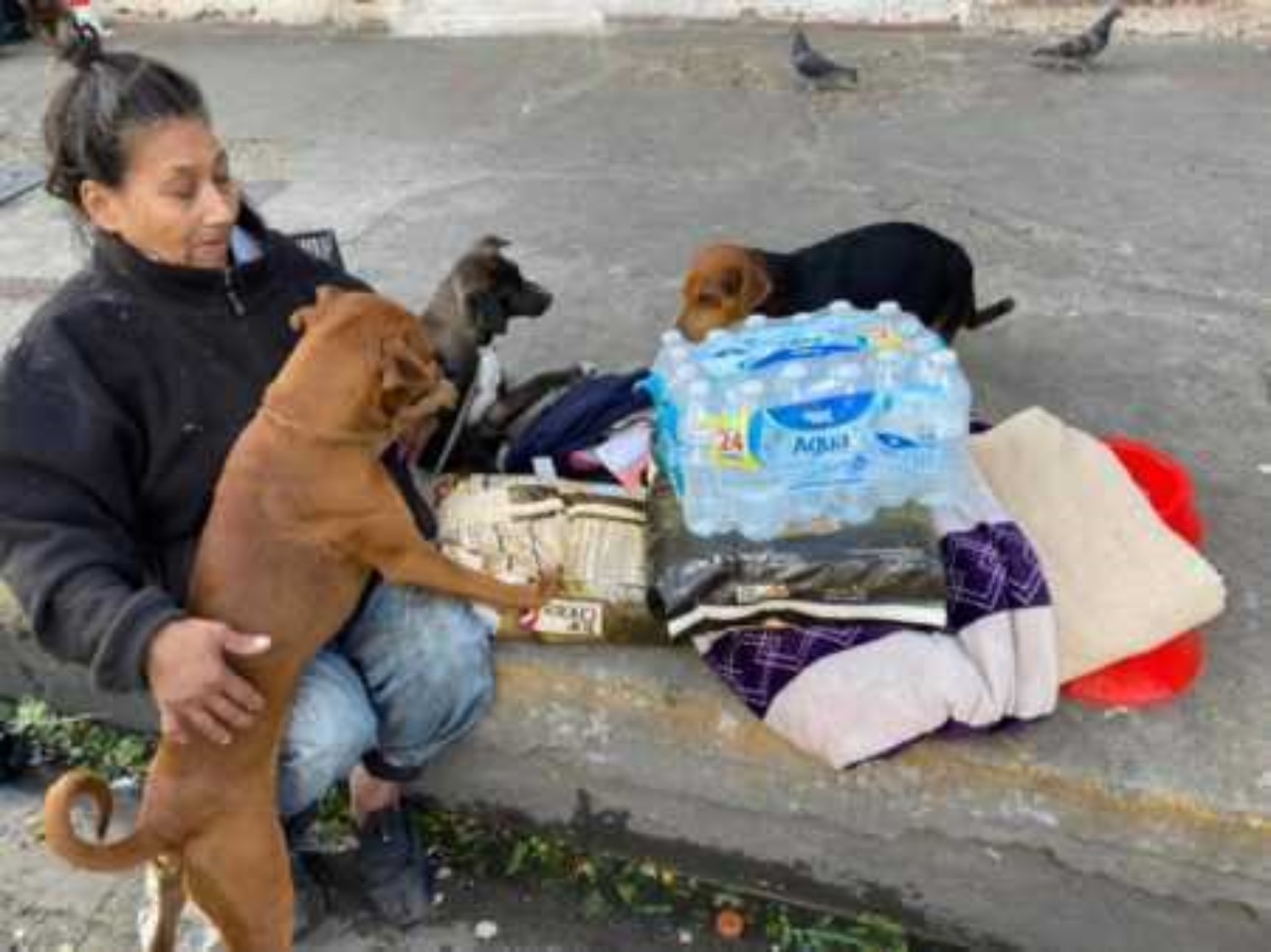 Senzatetto rinuncia al letto per i suoi cani