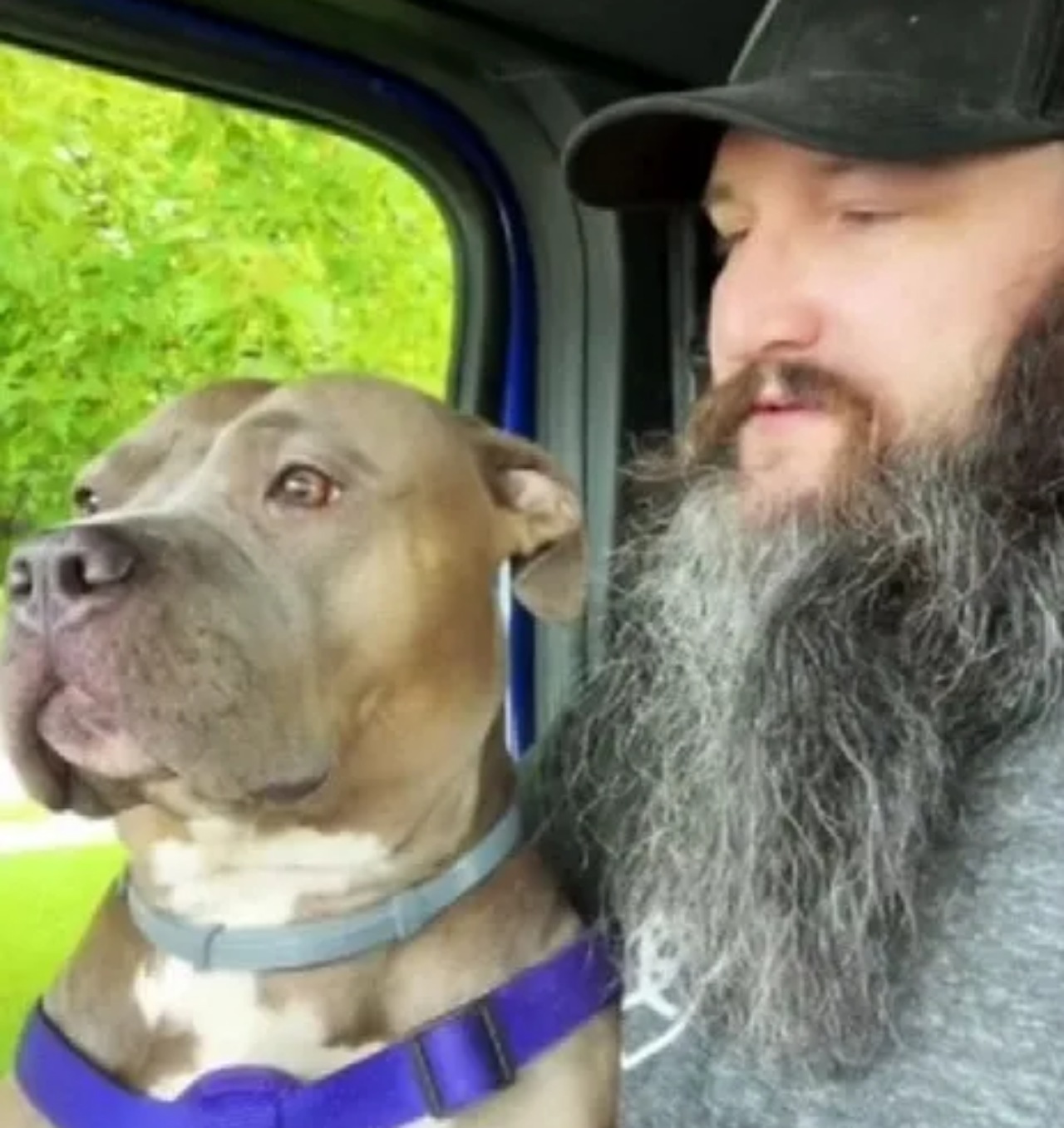 Cane fedele abbraccia il suo papà