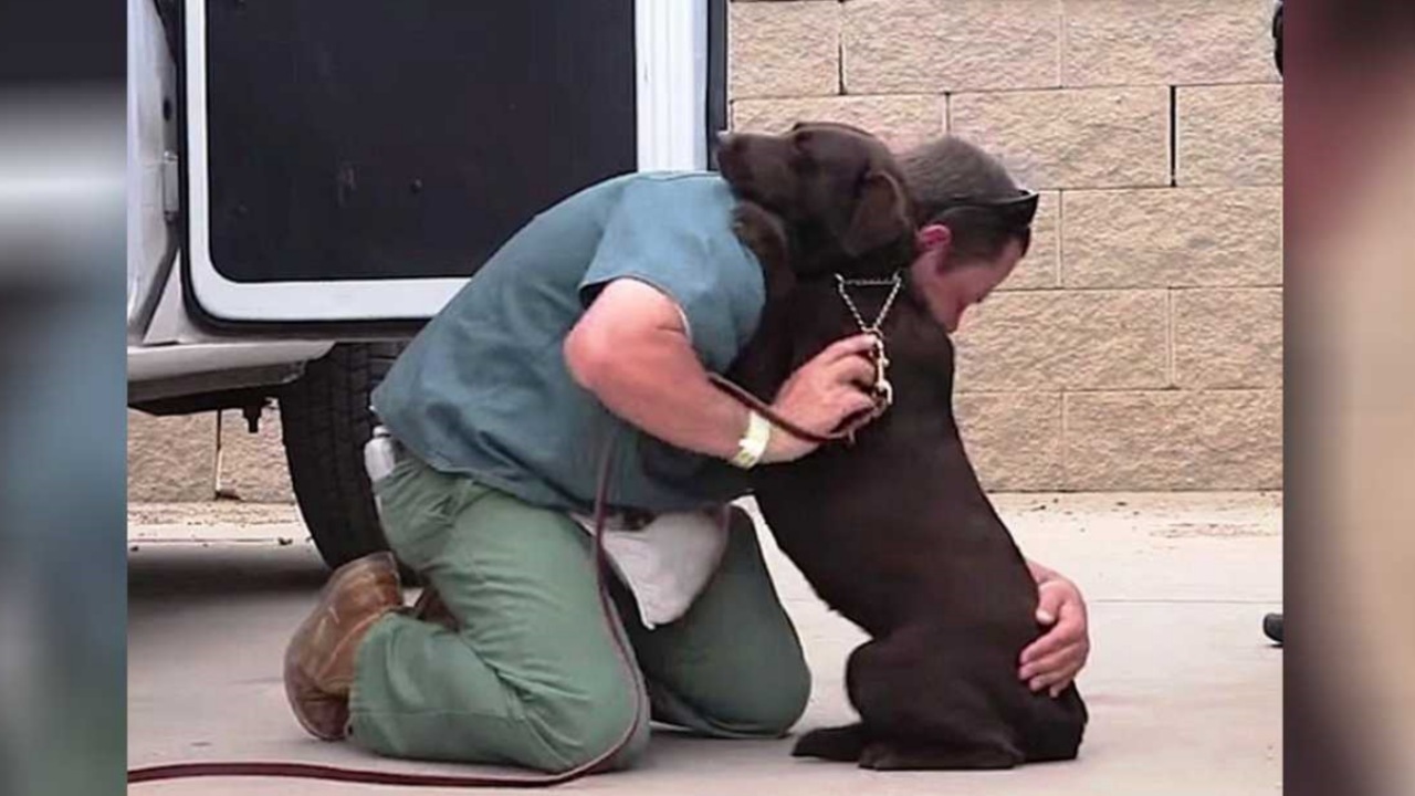 Cane maltrattato trova conforto in un detenuto