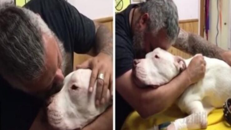 Uomo piange per la perdita del suo cane