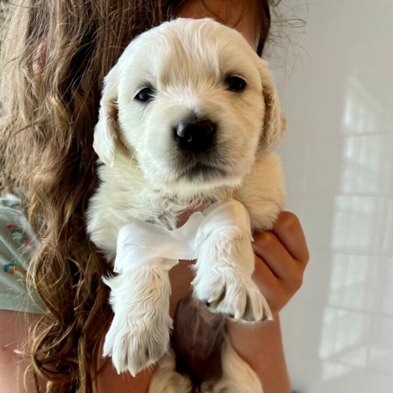 Cucciolo deforme trova una famiglia amorevole