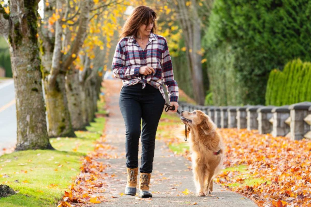 Passeggiata con il cane: perché è importante?