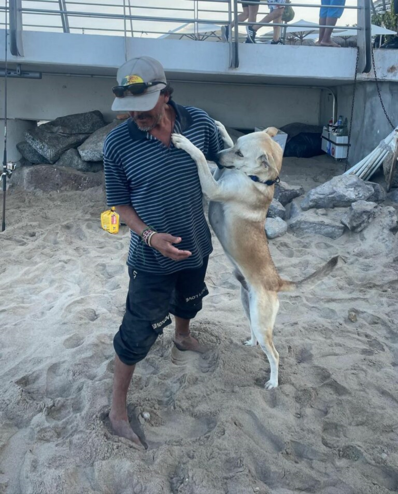 Cane di un senzatetto ha una seconda possibilità