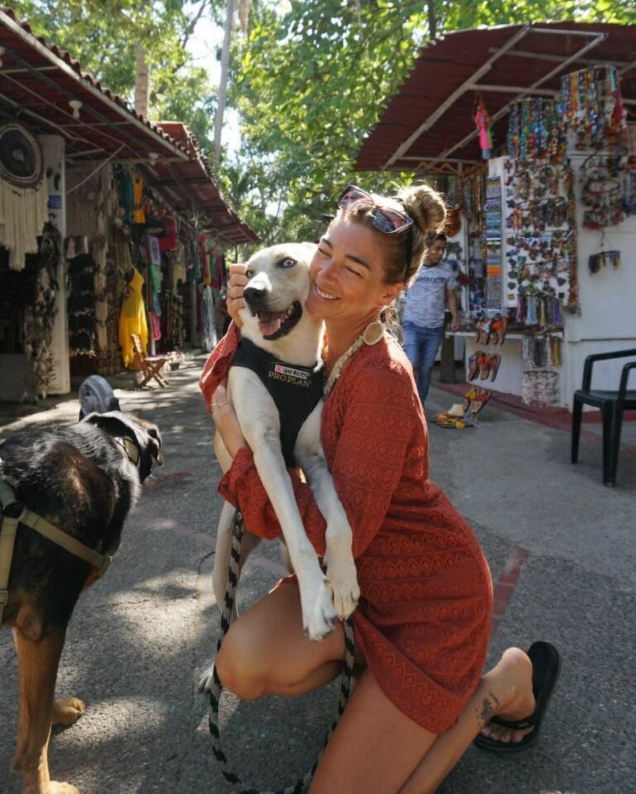 Cane di un senzatetto ha una seconda possibilità