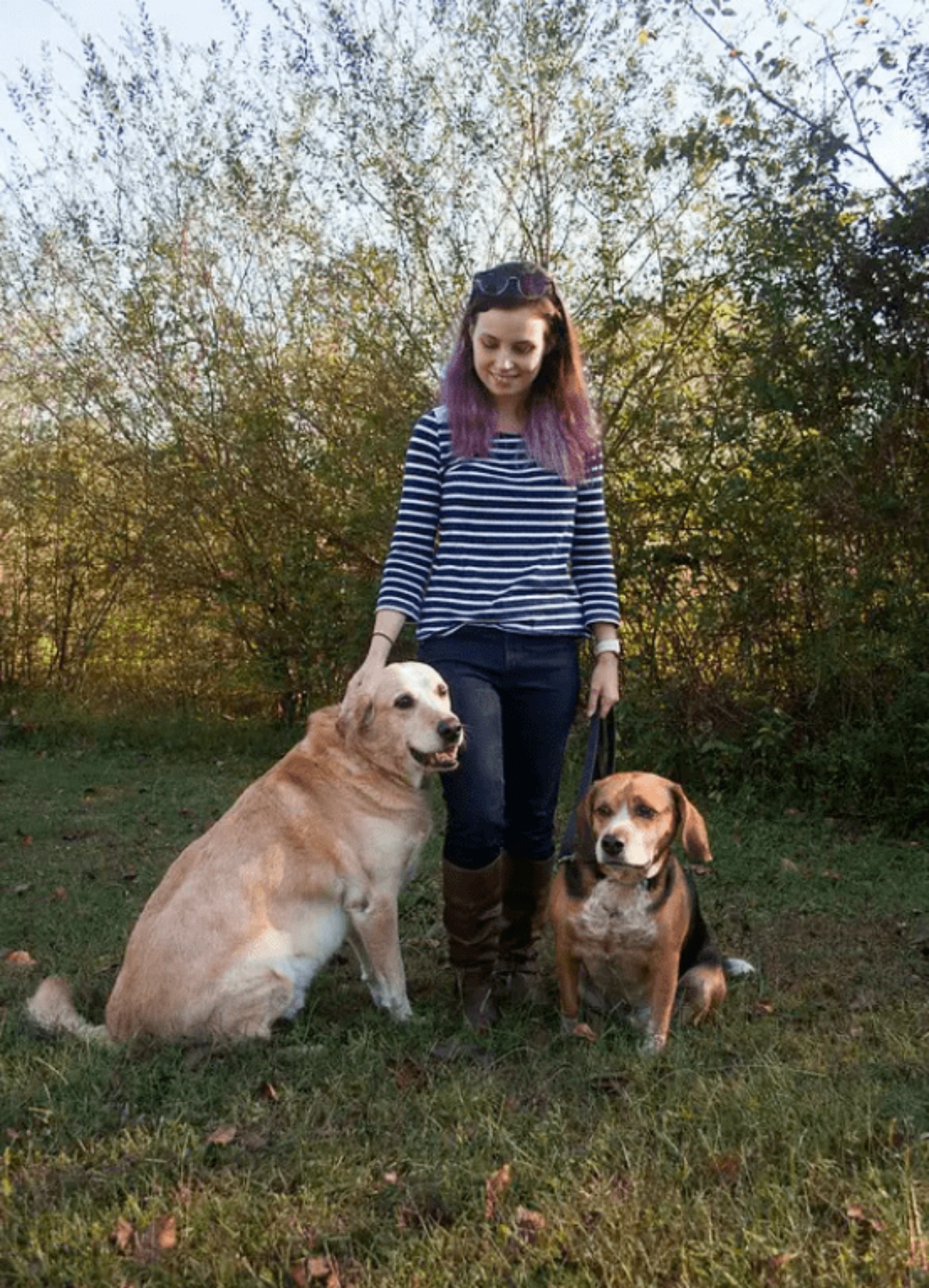 Cane randagio protegge un'anziana signora