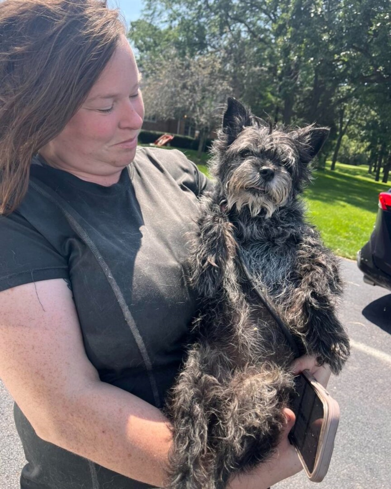 Cane torna al rifugio dopo 13 anni