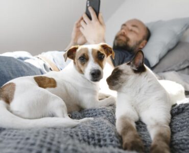 Dormire con il tuo amico a quattro zampe