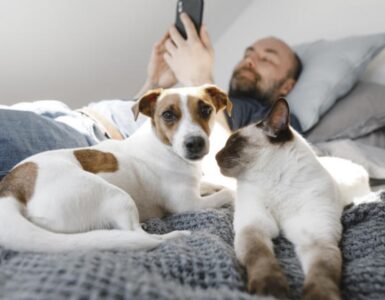 Dormire con il tuo amico a quattro zampe