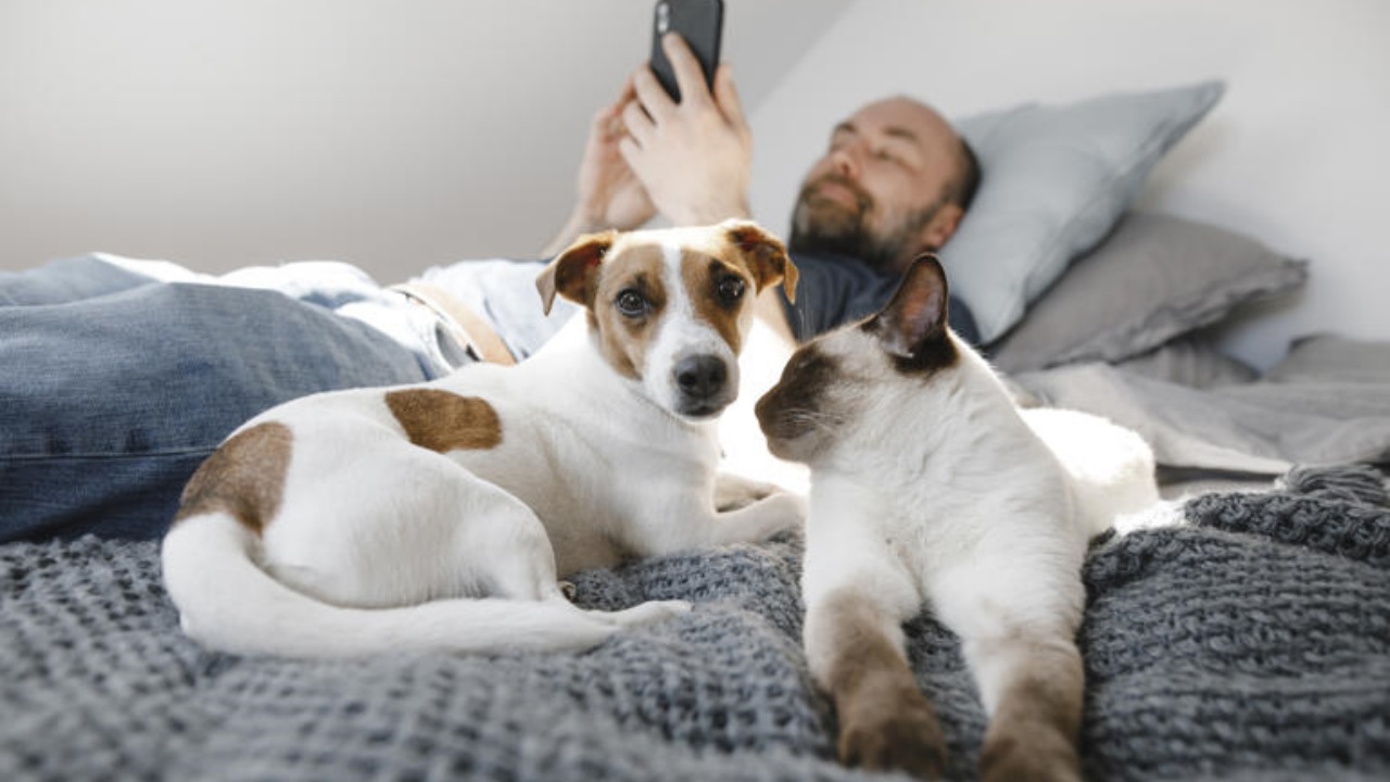 Dormire con il tuo amico a quattro zampe